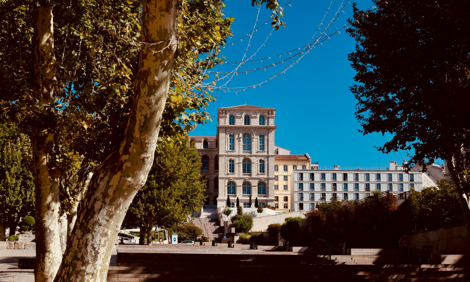 Meilleurs Avocats Déblocages Succession à Marseille - Coursange Avocats