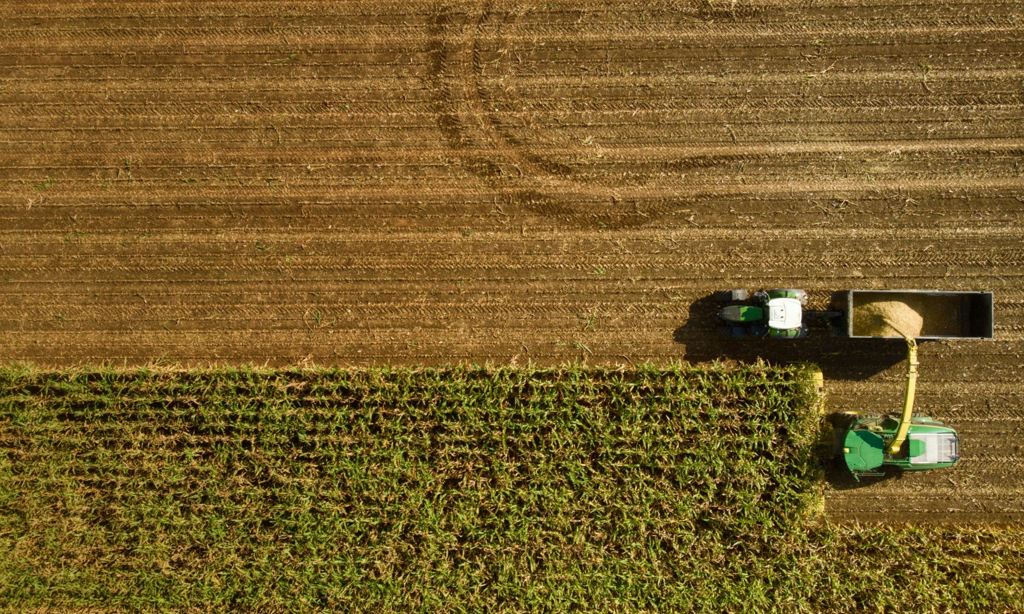 Héritage de terres agricoles - Coursange Avocats